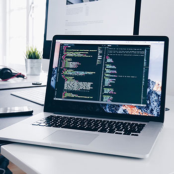 全新域名引蜘蛛模式